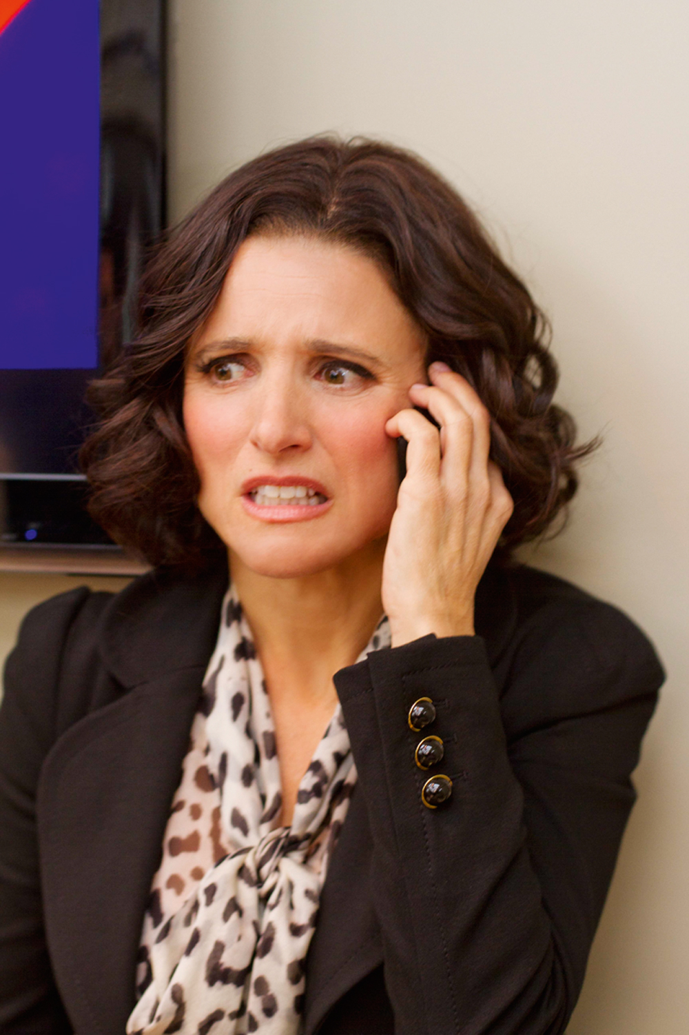 3-pag-3—SERIADO-HBO-VEEP-15.JPG HILÁRIA - Veep: as intempéries de uma vice-presidente americana