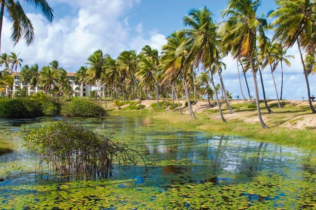GettyImages-1165203462.jpg PARAÍSO - Costa do Sauípe, na Bahia: falta de conexões aéreas é um desafio