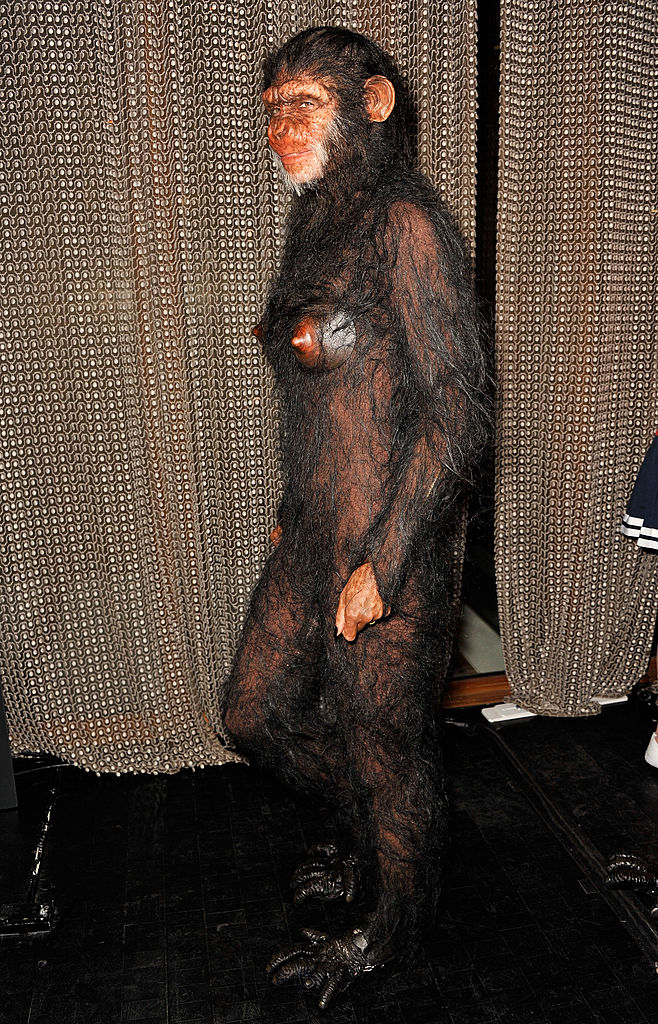 Heidi Klum’s 12th Annual Halloween Party 2011: Heidi Klum aparece vestida de gorila