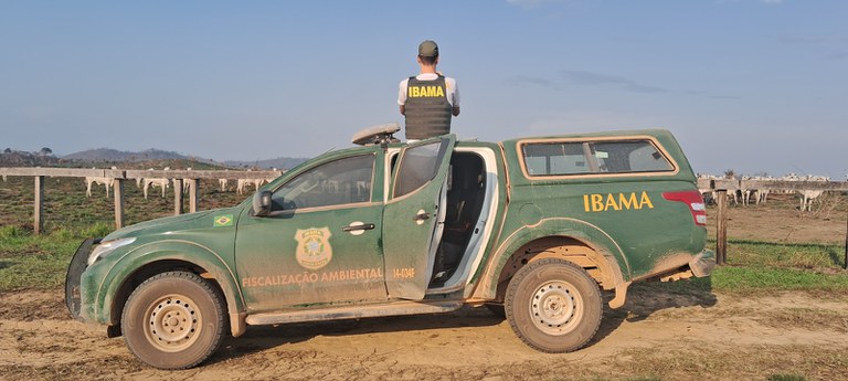Operação Carne Fria mira frigoríficos que compravam gado de áreas embargadas