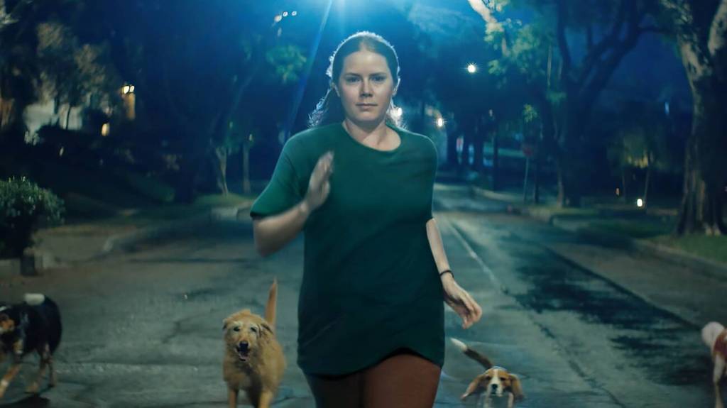 De Amy Adams a Will Ferrell: as estreias do streaming em janeiro