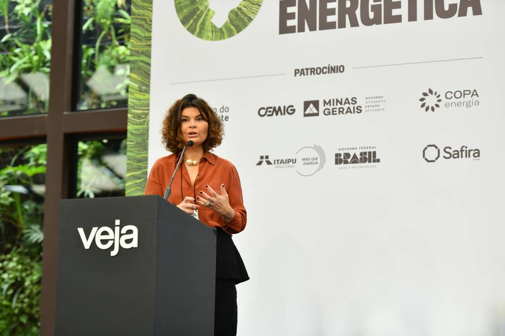 Luciana Costa, diretora de Transição Energética do BNDES