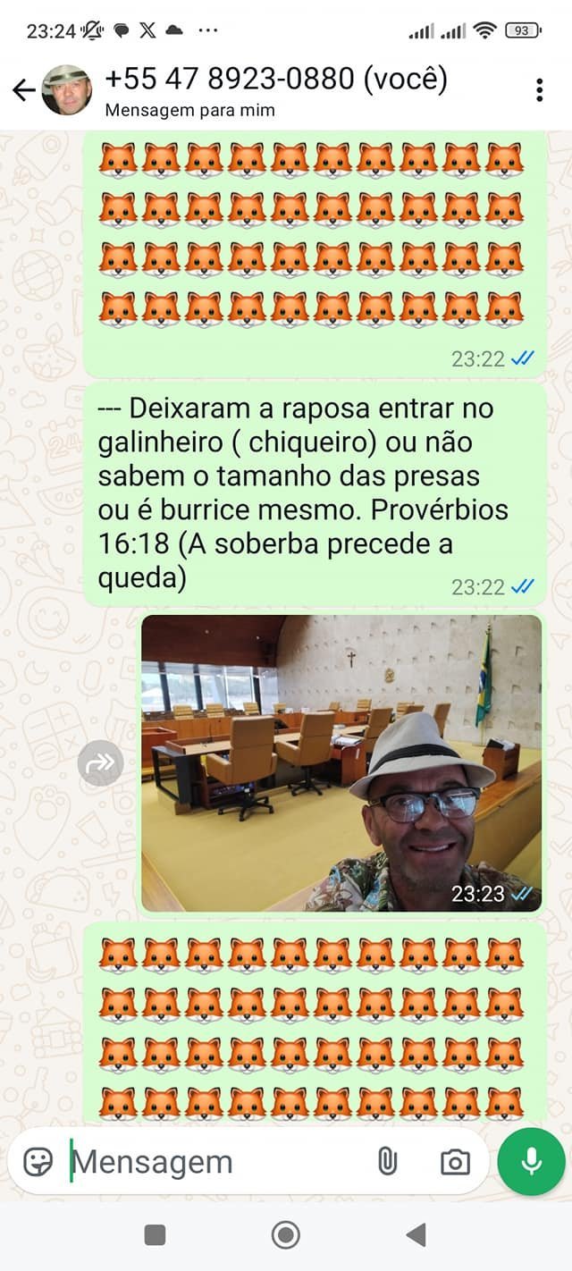 bomba stf .