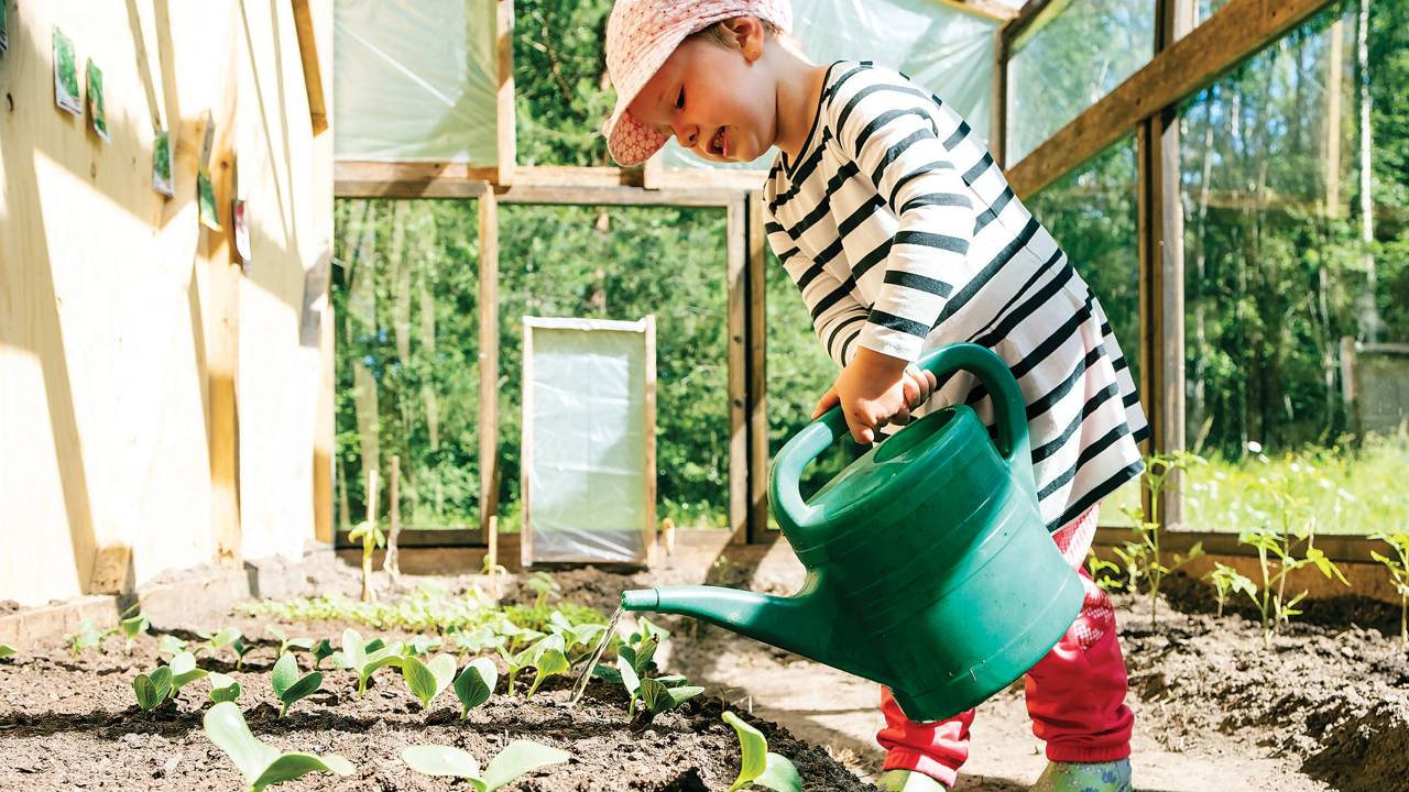 CARTILHA VERDE Criança na escola: aprender a preservar a natureza é lição ensinada desde o início da vida -