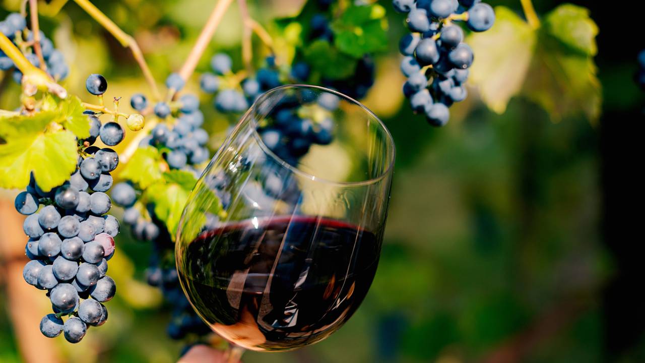 Grapes and glasses of wine on table outdoors