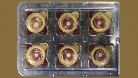 Brasileiros desenvolvem pele artificial 3D mais parecida com a humana