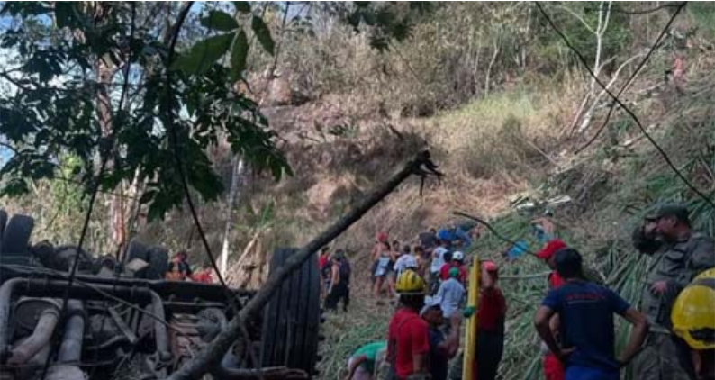 Ônibus cai em ribanceira em Alagoas e deixa vários mortos