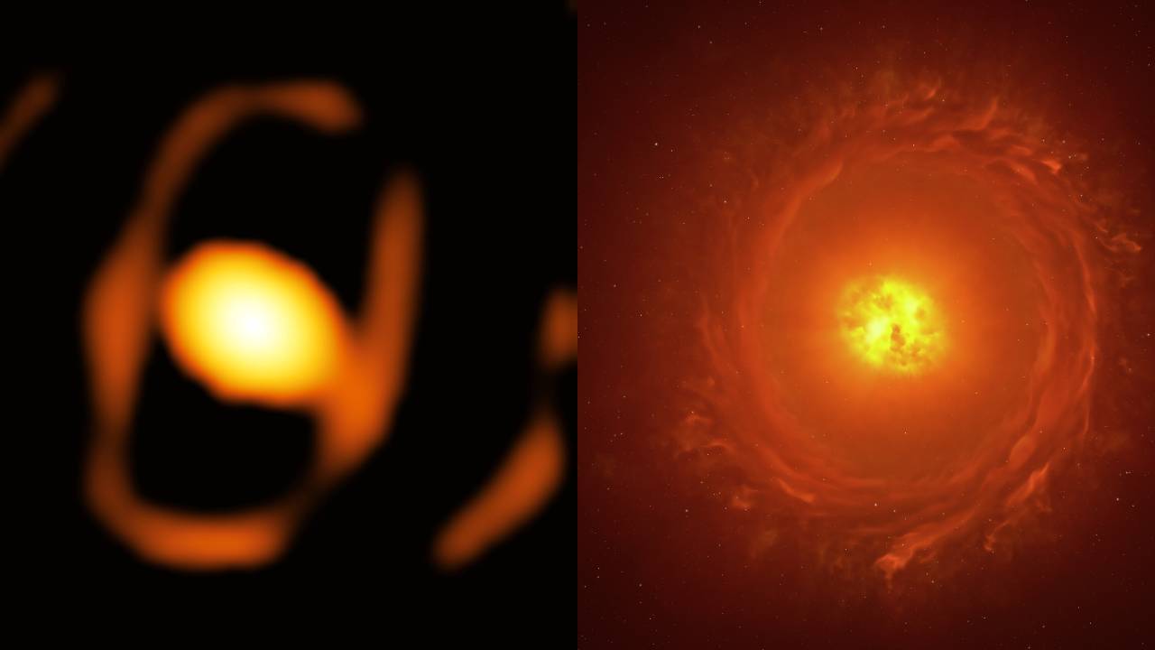 Located in the Large Magellanic Cloud, at a staggering distance of over 160 000 light-years from us, WOH G64 is a dying star roughly 2000 times the size of the Sun. This image of the star (left) is the first close-up picture of a star outside our galaxy. This breakthrough was possible thanks to the European Southern Observatory’s Very Large Telescope Interferometer (ESO’s VLTI), located in Chile. The new image, taken with the VLTI’s GRAVITY instrument, shows that the star is enveloped in a large egg-shaped dust cocoon. The image on the right shows an artist’s impression reconstructing the geometry of the structures around the star, including the bright oval envelope and a fainter dusty torus. Confirming the presence and shape of this torus will require additional observations.