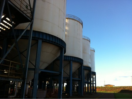 Mapeamento inédito do microbioma de usinas pode aumentar eficiência do etanol