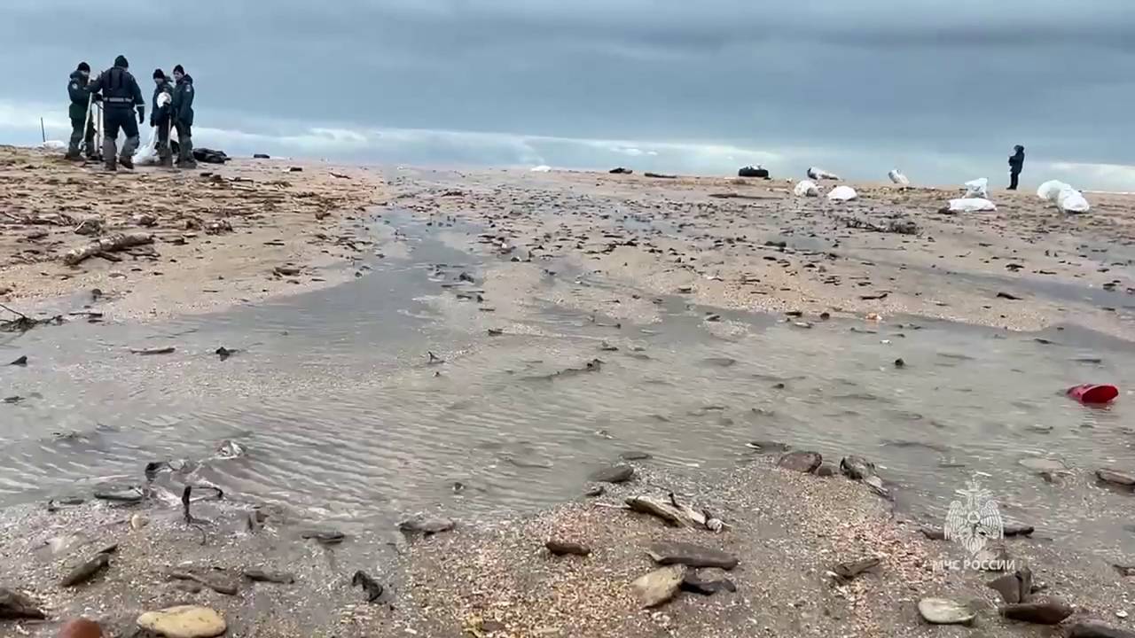 Equipes de resgate respondem a um vazamento de óleo ao longo da costa do Mar Negro