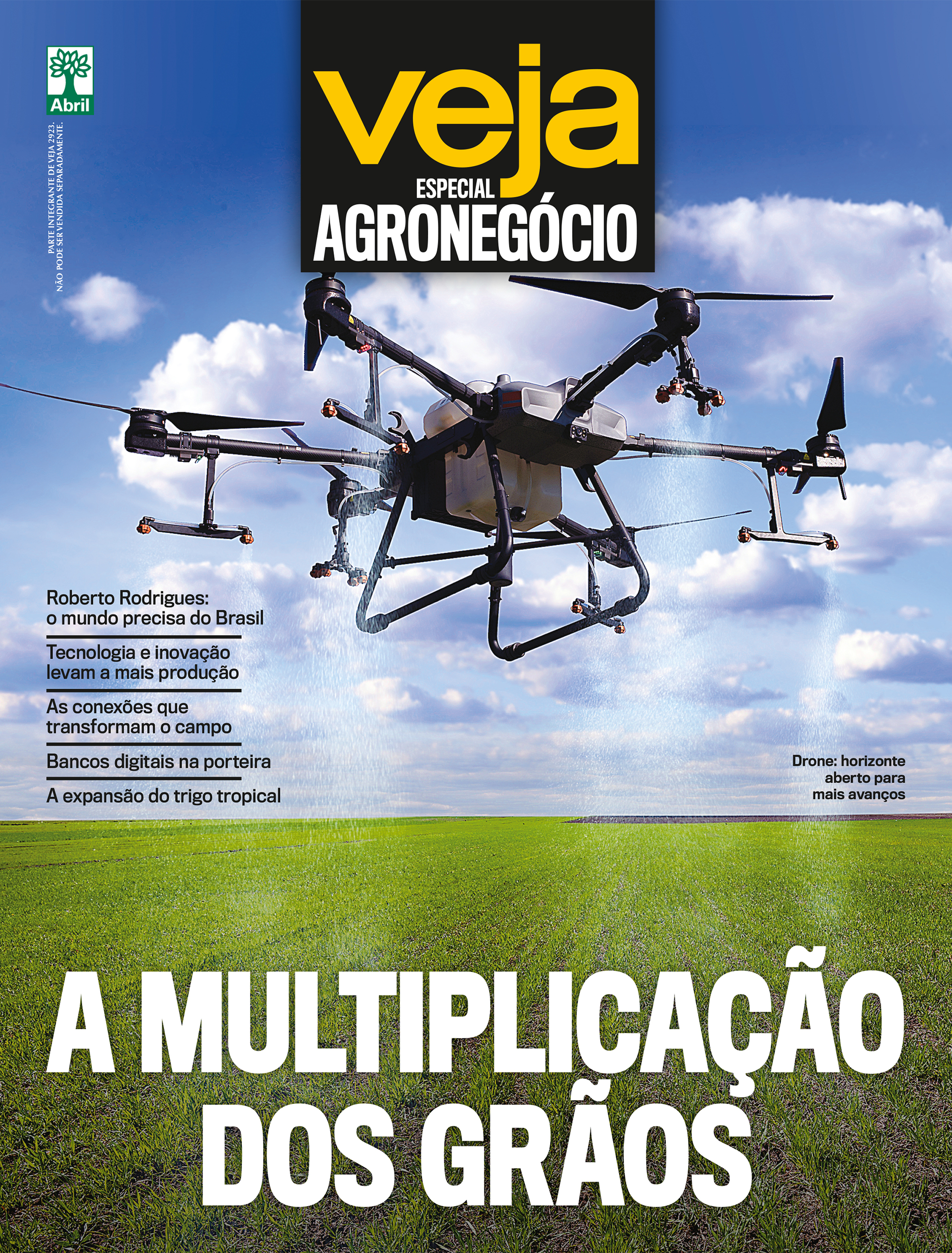 A MULTIPLICAÇÃO DOS GRÃOS