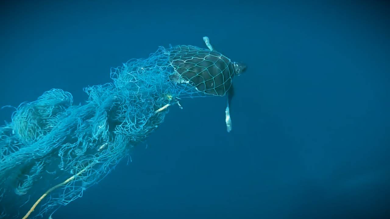 projeto entre a liga internacional de surf e a NBA para retirar redes de pescas abandonadas nos oceanos