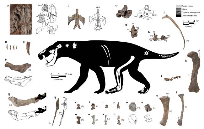 Fig. 3 Fig. 3