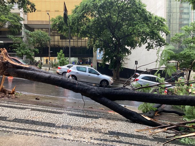 Chuva causou queda de árvores e deixou imóveis sem luz na capital