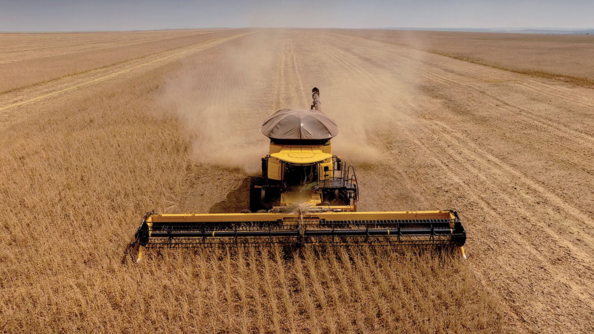 Colheitadeira de gr&atilde;os:&ensp;intelig&ecirc;ncia artificial depende de conex&atilde;o est&aacute;vel