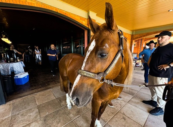 A nova cavalgada de Caramelo, o símbolo das enchentes do Sul