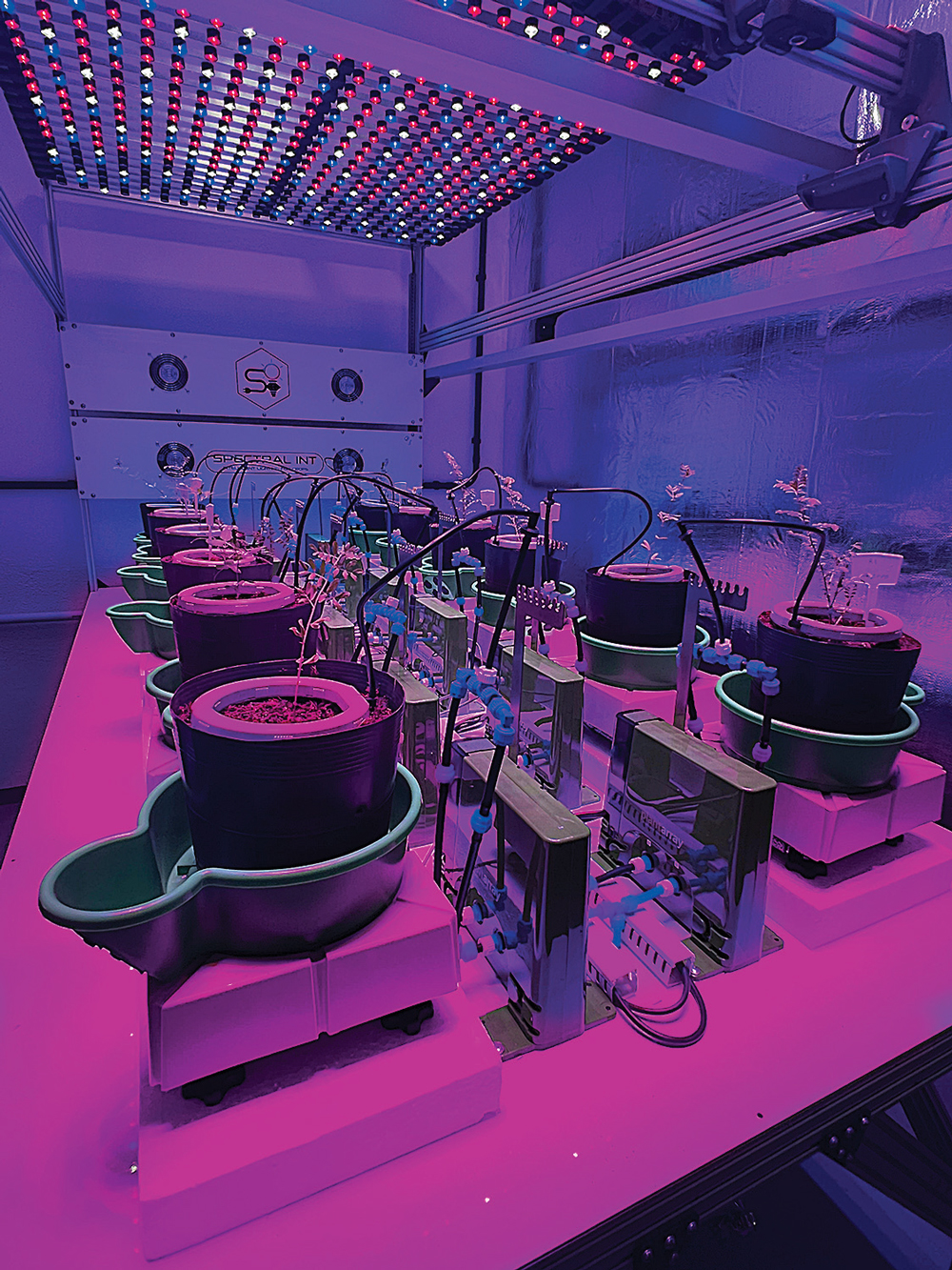 Laborat&oacute;rio da Universidade Federal de Vi&ccedil;osa:&ensp;tecnologia agr&iacute;cola de ponta