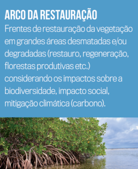 Design sem nome (2) Frentes de restauração da vegetação em grandes áreas desmatadas e/ou degradadas (restauro, regeneração, florestas produtivas etc.) considerando os impactos sobre a biodiversidade, impacto social, mitigação climática (carbono).