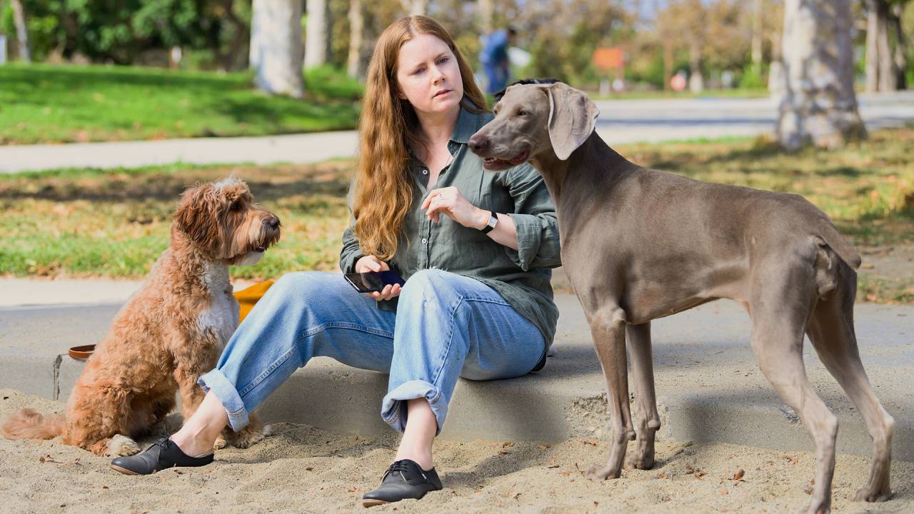 MUNDO CÃO - Amy Adams no filme: roteiro irônico e sagaz sobre as agruras da maternidade