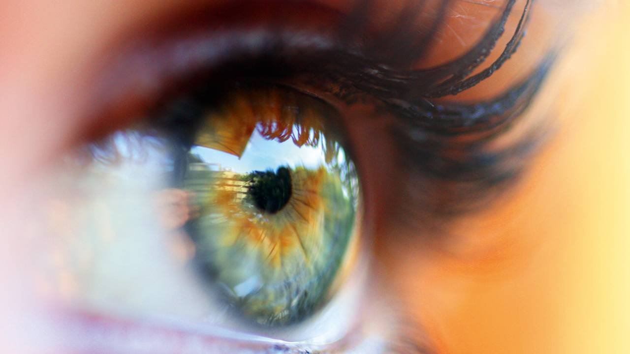 Biometria de íris: a World já certificou 10 milhões de pessoas