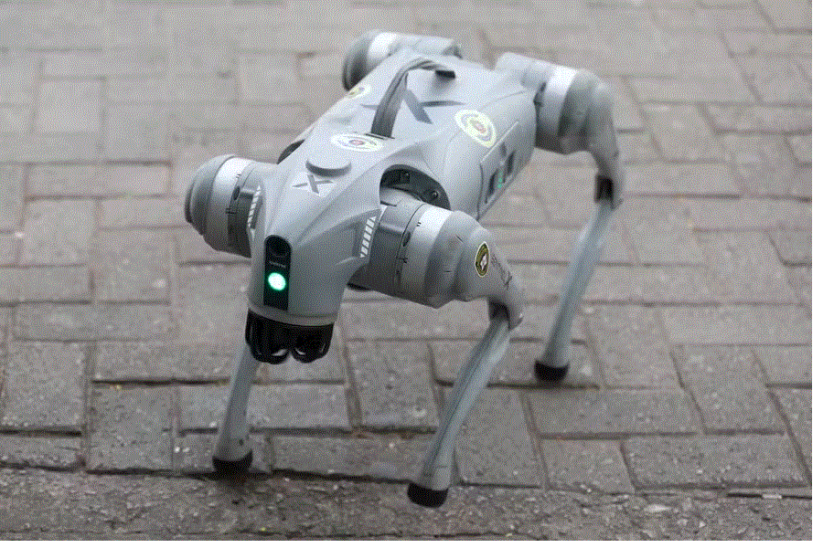 Cão cibernético reforça a segurança de grandes eventos em SP