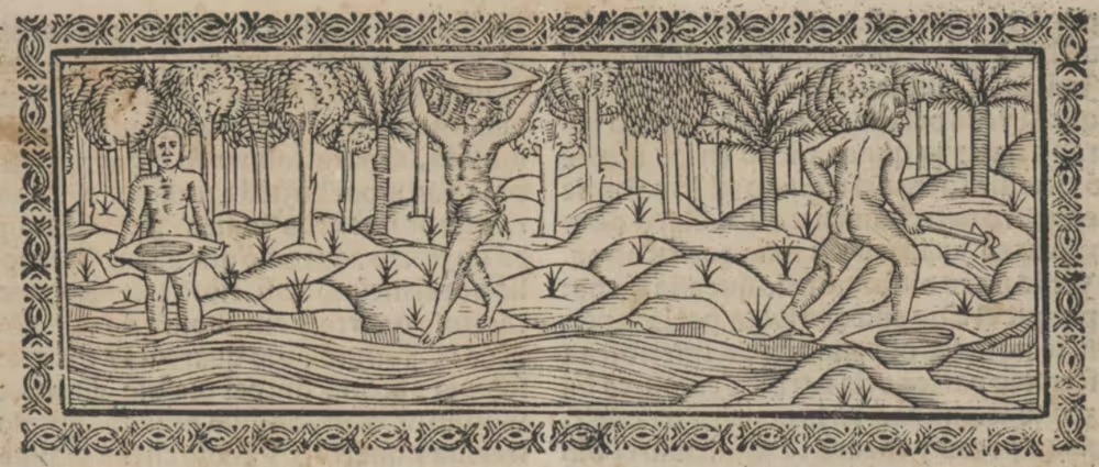 A saga de onze escravizados nas minas de ouro da América do Sul