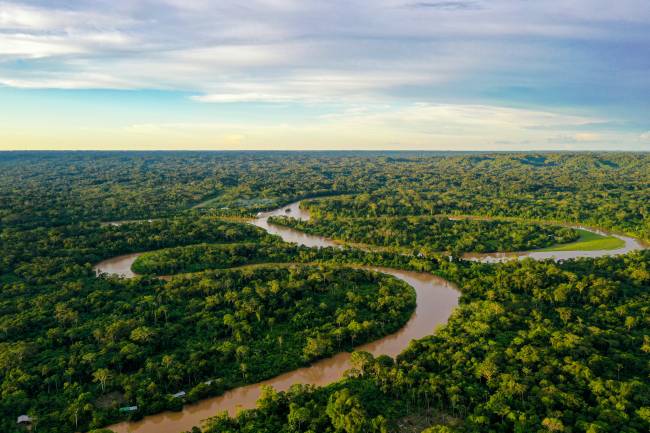 O Floresta Viva apoia projetos de restauração ecológica com espécies nativas e sistemas agroflorestais em todos os biomas brasileiros, além de atuar na estrutura técnica e no fortalecimento da gestão da cadeia produtiva do setor de restauração