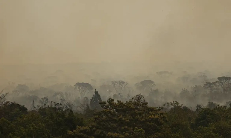 Incêndios no DF em setembro de 2024