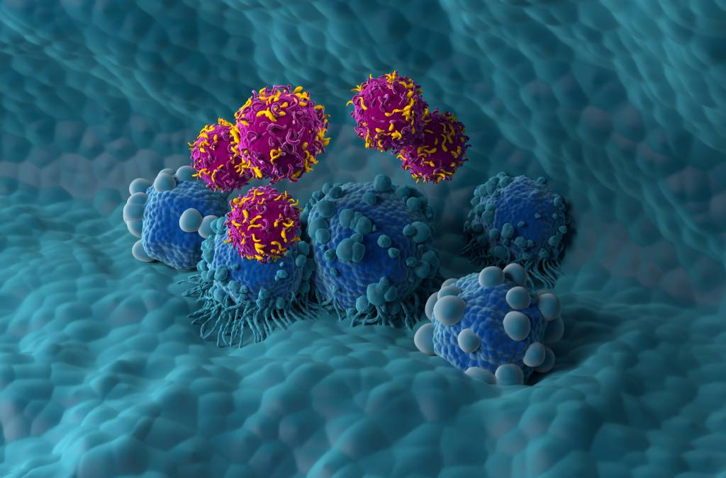 Células CAR-T: a última novidade da mais promissora terapia contra o câncer