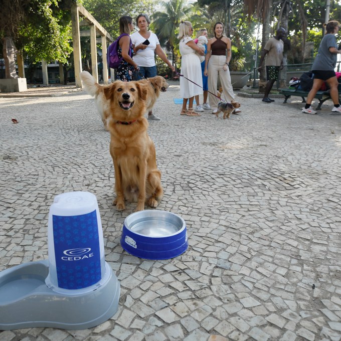 Com onda de calor no Rio, pets ganham pontos de hidratação da Cedae