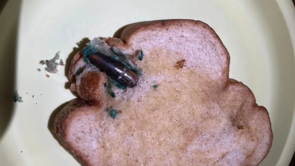 Moradora do Rio de Janeiro acha bala de fuzil dentro de pão de forma