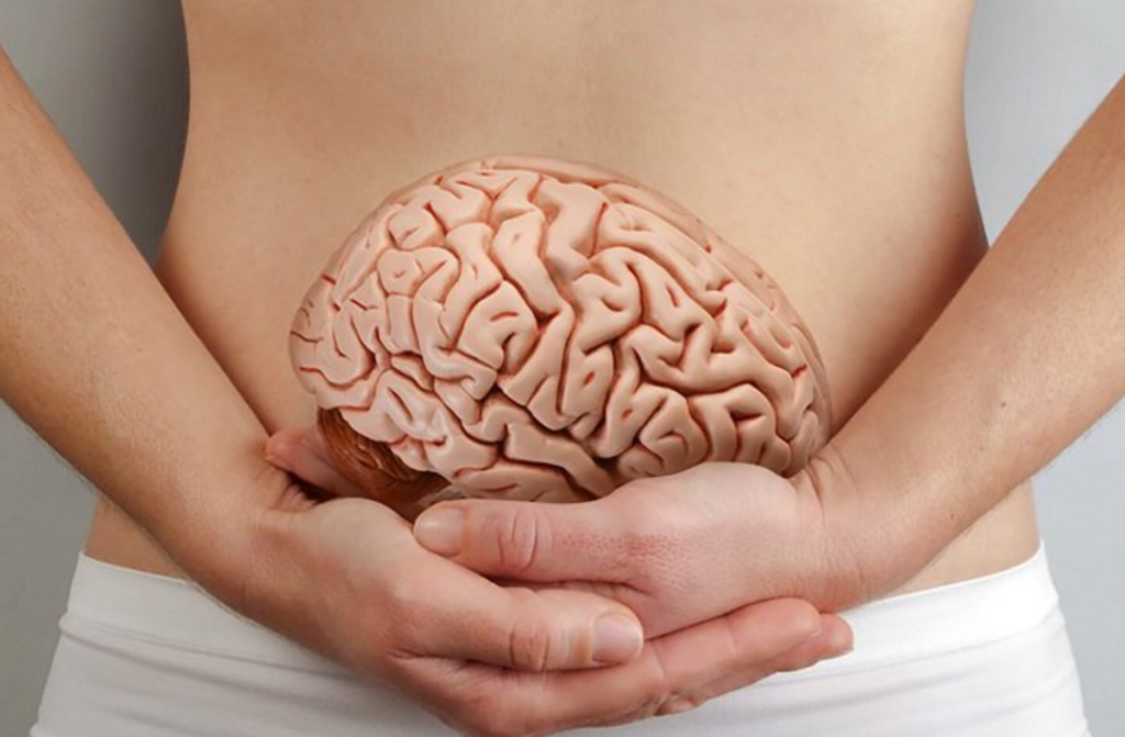 Dieta é coroada em estudo como a melhor opção para afastar o declínio da memória