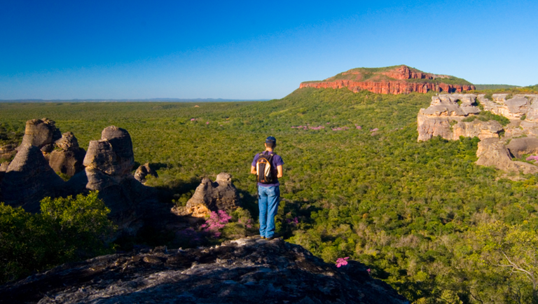 Pesquisa mostra as preferências turísticas de cada região do Brasil