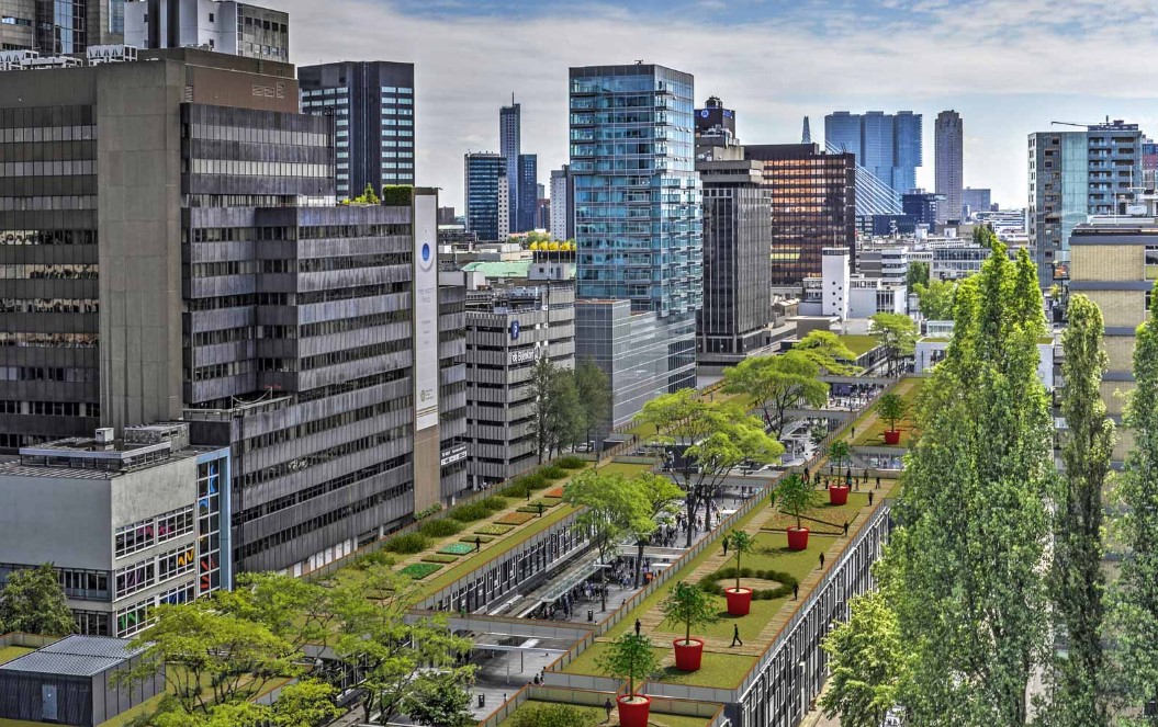 Rotterdam, na Holanda, investiu na multiplicação de telhados verdes
