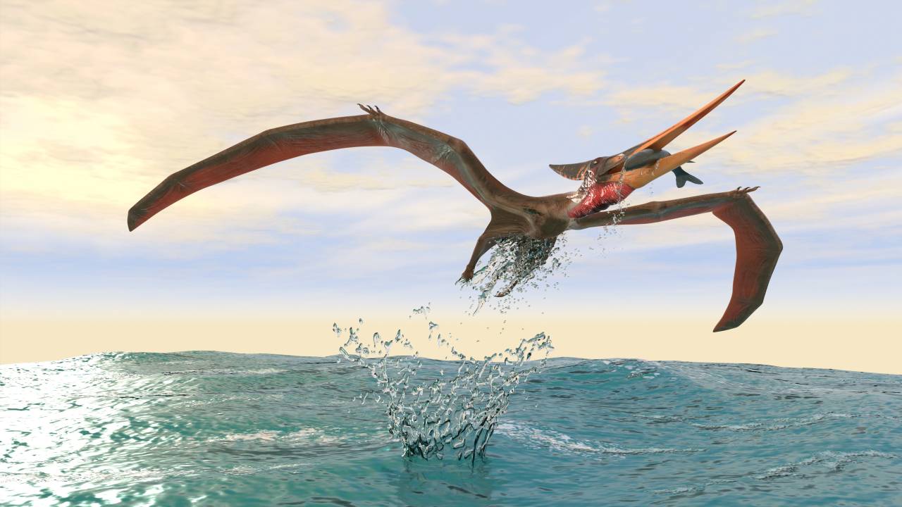 Os pterossauros, répteis alados que dominaram os céus na era dos dinossauros, tinham ossos especialmente adaptados para suportar as forças do voo