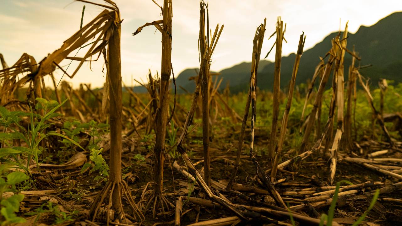 inseguranca-alimentar-mudanca-climatica