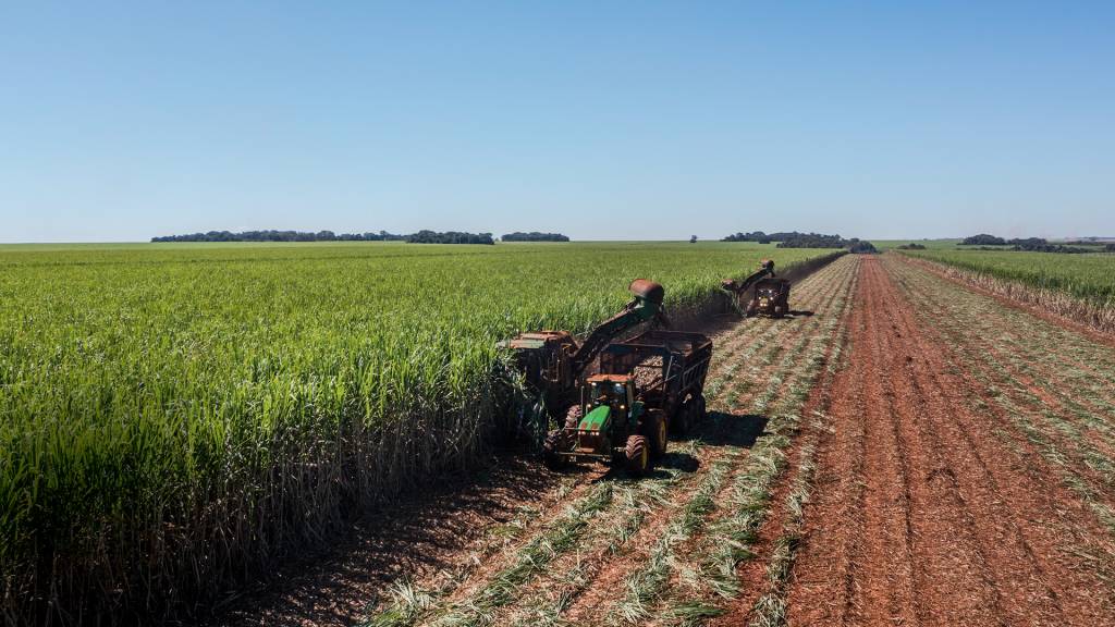 Opção de ser potência verde: a estratégia brasileira para liderar a transição energética