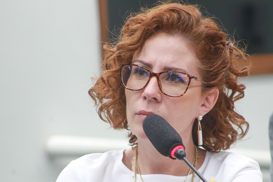 A deputada federal Carla Zambelli (PL-SP) durante sessão na Câmara dos Deputados