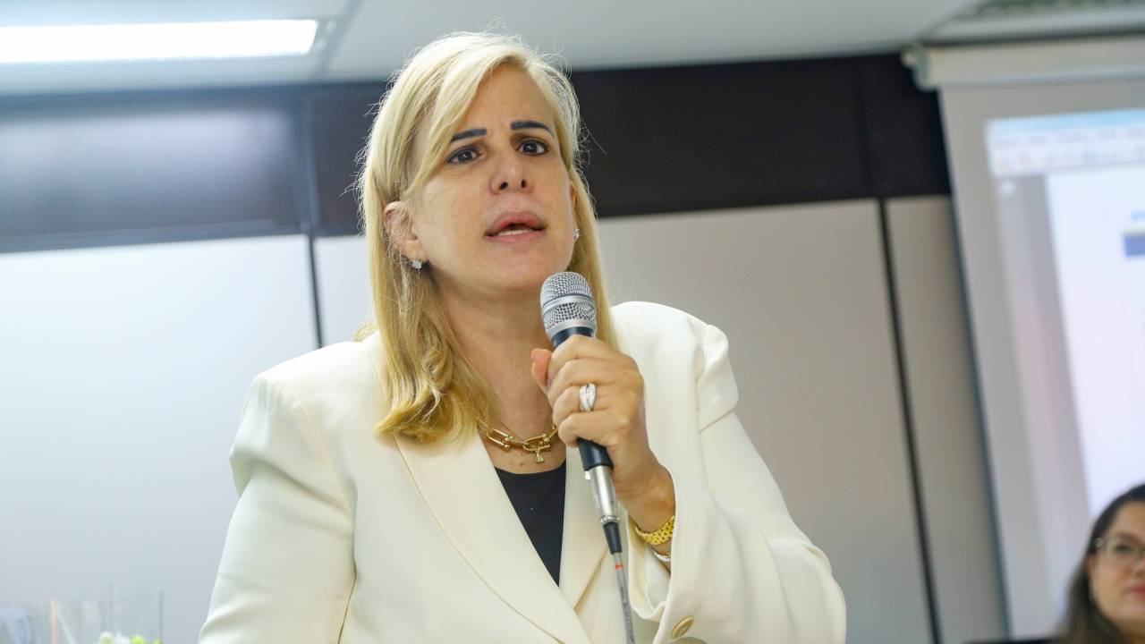 A presidente da OAB-RJ, Ana Tereza Basilio