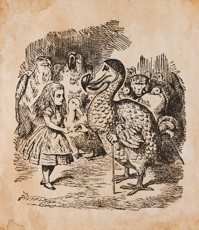 2—img-3.jpeg FICÇÃO - Ilustração do dodô: animal aparece em clássicos da literatura