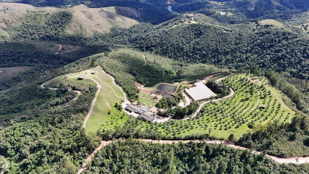 Campos do Jordão terá festival com mais de 50 atrações nacionais