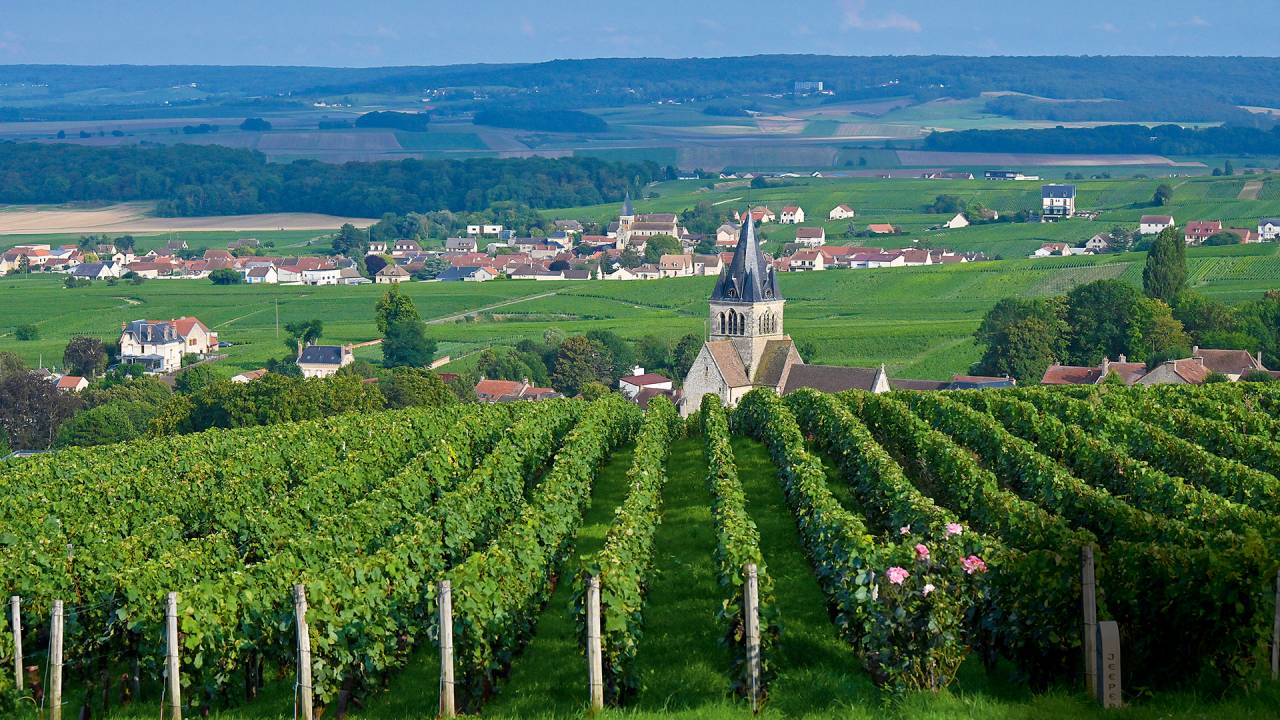 VALE OURO - Propriedade em Reims: cada hectare na famosa região custa mais de 1 milhão de euros