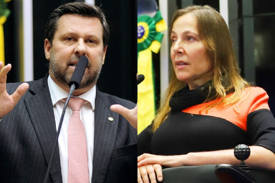 Carlos Sampaio e Mara Gabrilli: organizadores de encontro de prefeitos do PSD paulista com Kassab em Brasília