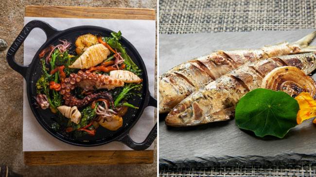 Polvo Marisqueria e Casa Ueda Polvo Marisqueria e Casa Ueda