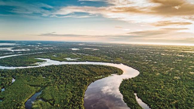 1—amazonia-greenpeace-1024×702.jpeg Parque do Cabo Orange (AP): um vazamento poderia atingir a reserva ecológica