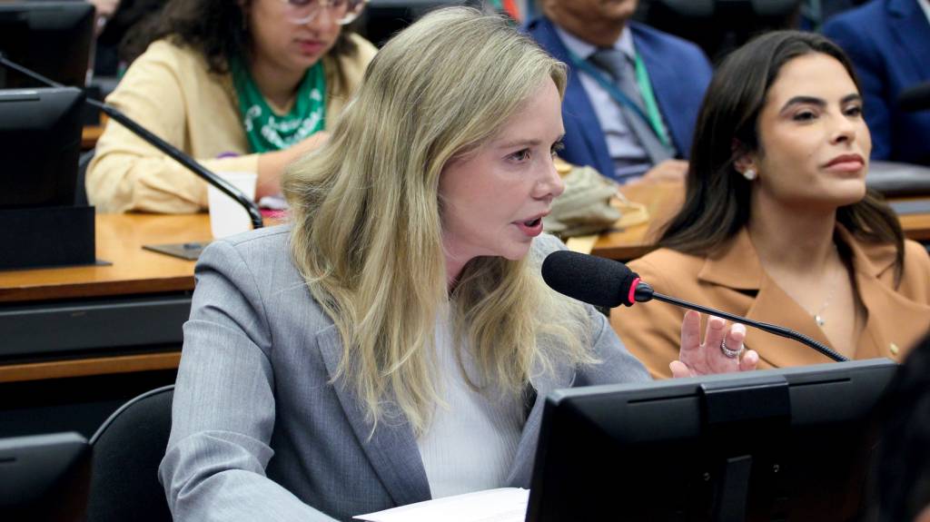 2 – img20241127120356862.jpg CRÍTICA - Dani Cunha: deputada diz que é “malfeito” o Censo que tira vagas do Rio