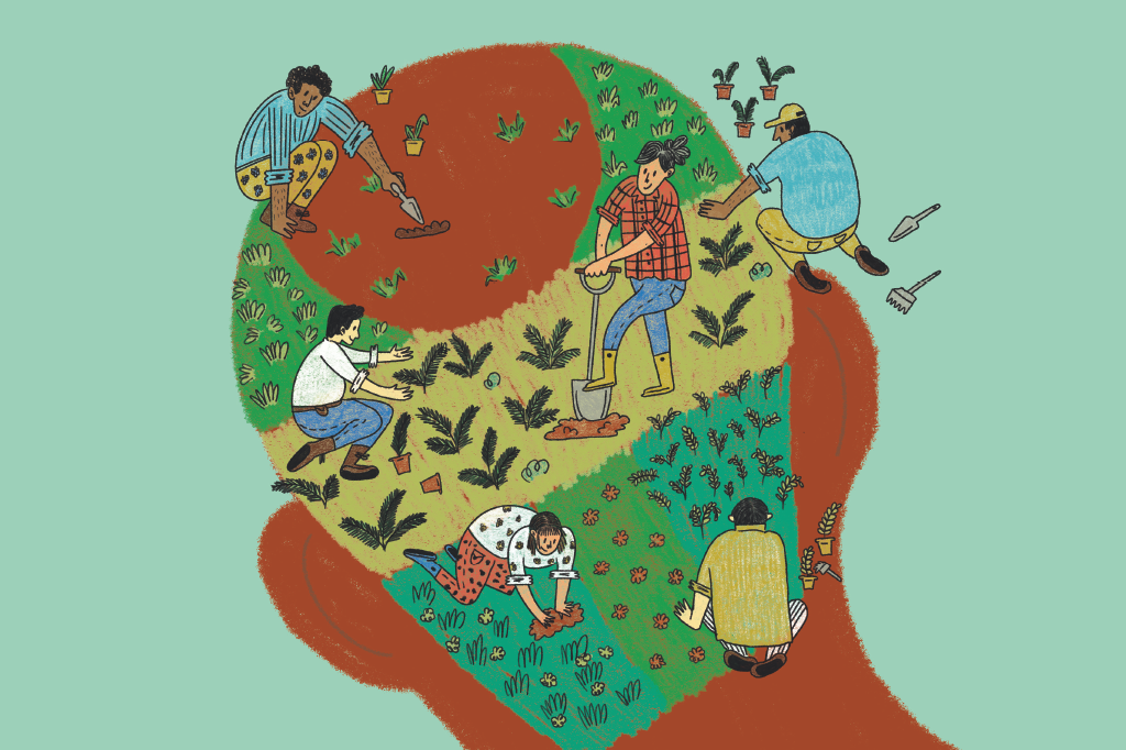 Por que o transplante capilar está fazendo a cabeça de tanta gente