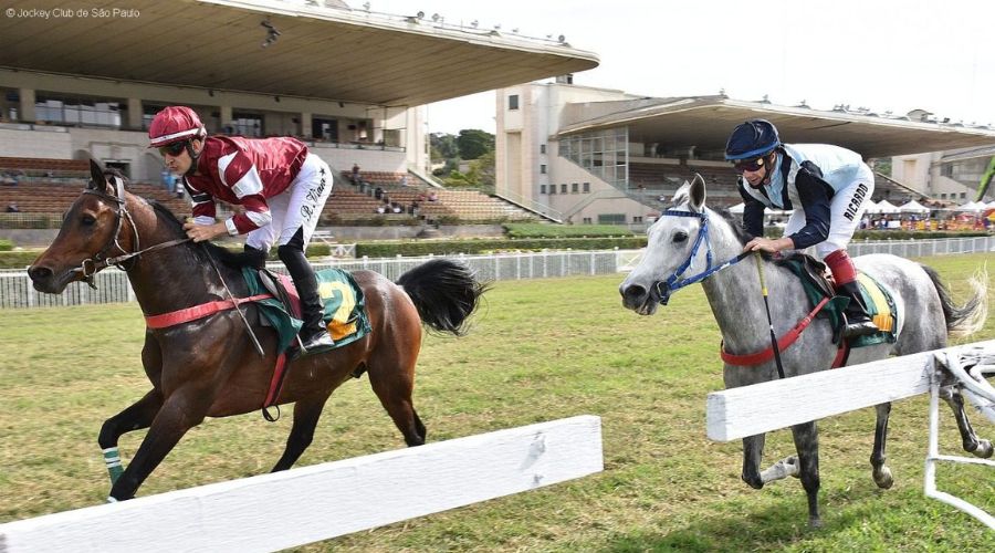 Corrida de cavalos no Jóquei Clube de São Paulo