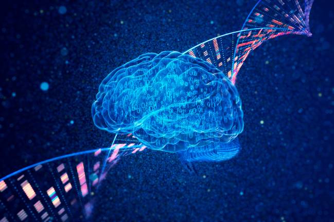Cérebro alzheimer Eificiência sobre-humana: IAs já ajudaram a prever Alzheimer com mais de 80% de acurácia