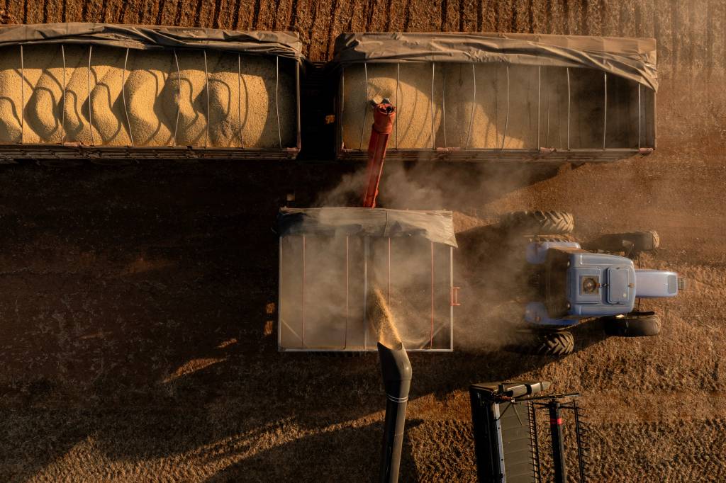 Agro brasileiro